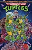Teenage Mutant Ninja Turtles: Saturday Morning Adventures, Vol. 1